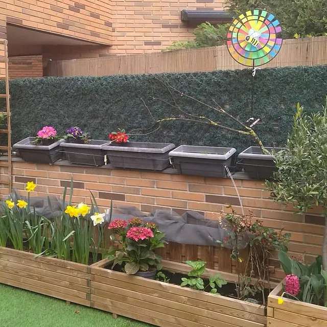 La Casa del Colibrí plantas en patio