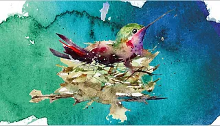 La Casa del Colibrí