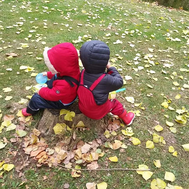 niños en parque