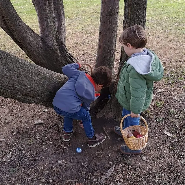 La Casa del Colibrí niños en arbol