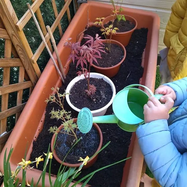 La Casa del Colibrí plantas
