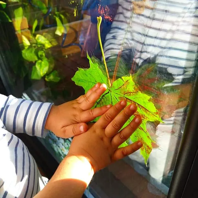 La Casa del Colibrí manos de niño sobre hoja