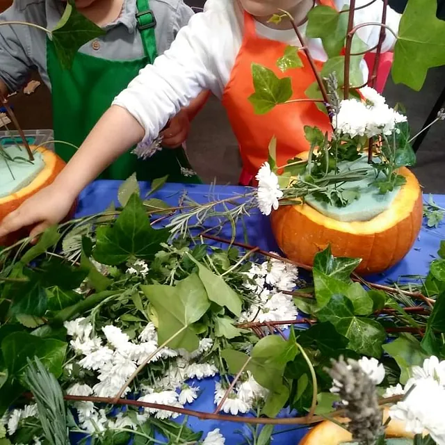 La Casa del Colibrí plantas y juguetes