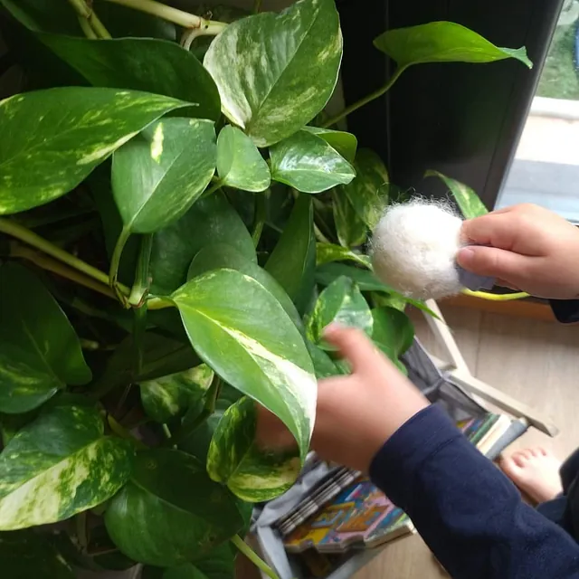 La Casa del Colibrí manos de niños en hojas
