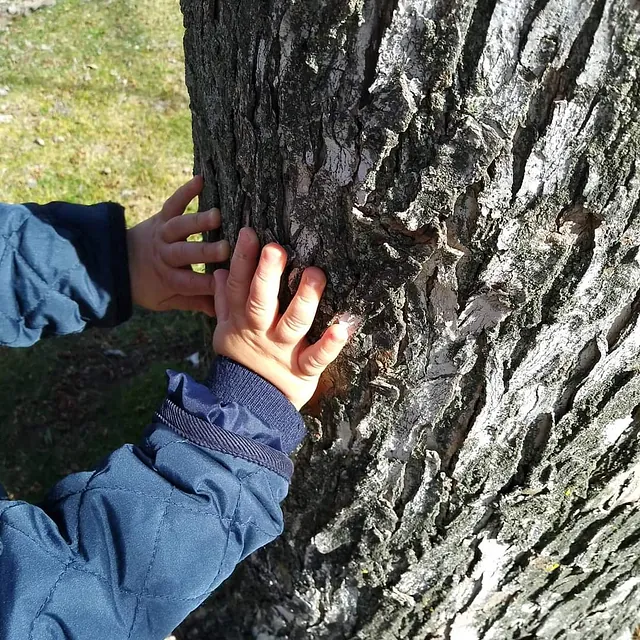 La Casa del Colibrí manos sobre corteza de arbol